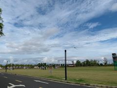 -春花秋色城市公园