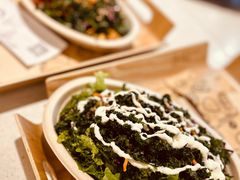 -油梨树 AVOCADO TREE(亮马桥店)