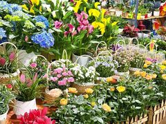 -平吉花卉市场