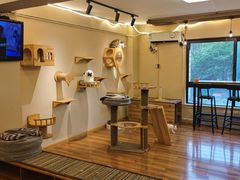-喵屋coffee