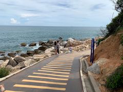-广东惠东海龟国家级自然保护区