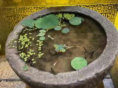 -环秀楼(黄山呈坎店)