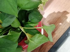 -亭亭鲜花店(中山北路店)