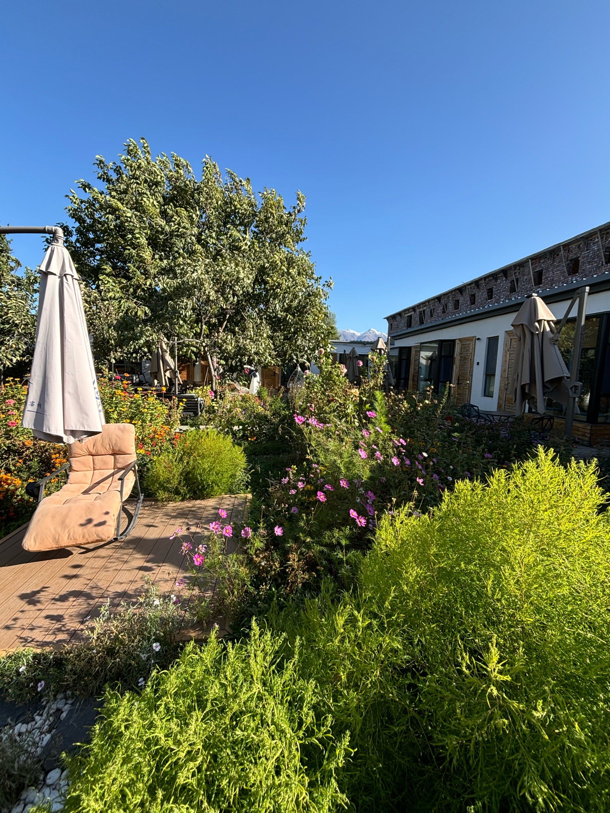 那拉提的美好不仅有景色还有居阁