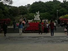 -金鸡山公园