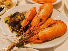 -君悦酒店·乐厨·高空自助餐(青年大街店)