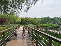 -郑州植物园