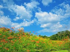 -中国科学院西双版纳热带植物园