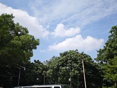 -荔城生鲜盛宴(番禺旗舰店)