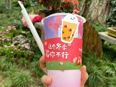 -CoCo都可(惠山古镇店)