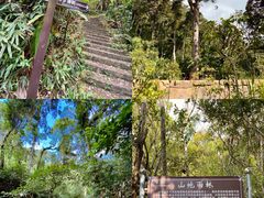 -海南热带雨林国家公园吊罗山景区