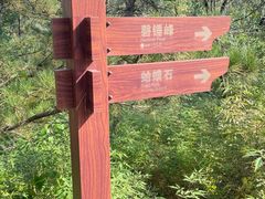 -磬锤峰森林公园