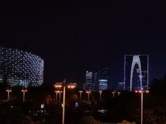 -苏州金鸡湖文博诺富特酒店