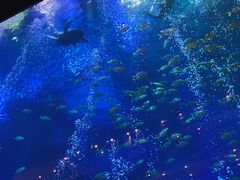 -成都浩海立方海洋公园