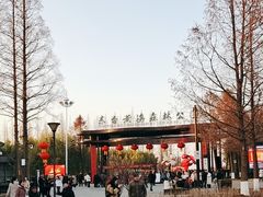 -黄海国家森林公园