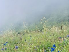 -白草畔自然风景区