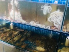 水产区-蟹谢蒸鲜自助餐厅