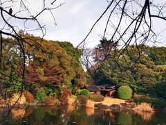 -东京国立博物馆