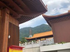 -深圳仙湖植物园