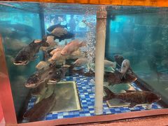 -顺峰(南二环店)