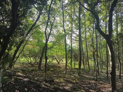 -白马涧龙池景区