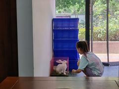 -岳合轩老北京涮肉