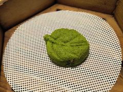 -莲湖糕团店·老秦淮小吃