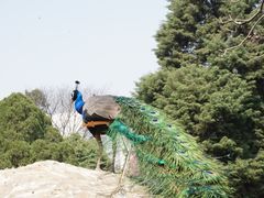 -昆明动物园
