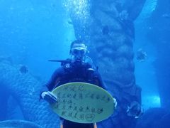 -哈尔滨波塞冬海底世界
