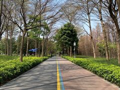 -顺峰山公园