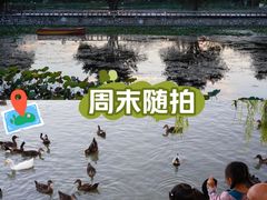 -天津水上公园