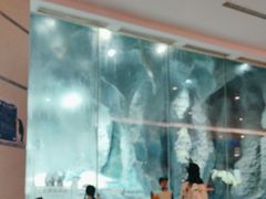 -帝企鹅自助餐厅•儿童岛•真企鹅(长隆企鹅酒店)