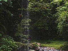 -西岭雪山大飞水景区