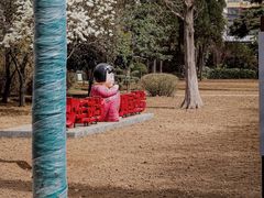 -洛阳市牡丹公园
