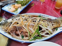 -朝霞饭店(崂山景区旅游专用路)