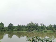 -桤木河湿地公园