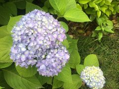 -圆融购物中心(南天成路店)