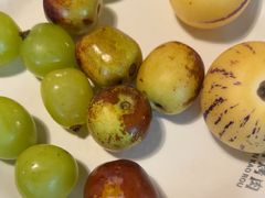 -伍棵星炭烤自助料理·烤鳗鱼(浦东食品城店)