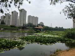 -前关湿地公园