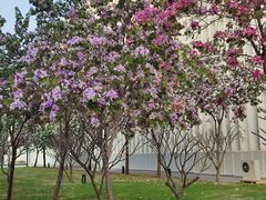 -深圳大学(丽湖校区)