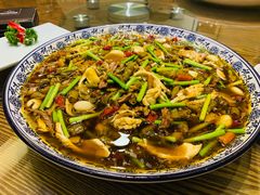 -楊公子民间菜