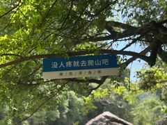 -石台牯牛降景区