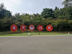 -青枫公园
