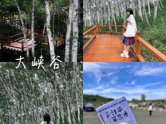 -塞罕坝国家级自然保护区