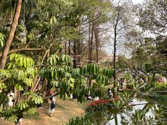 -人民公园(罗湖区)