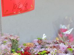 -溪岸路花鸟市场
