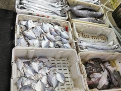 -芦潮港集贸市场