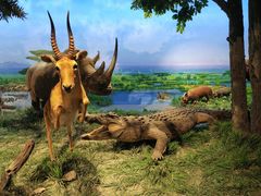 -国家自然博物馆