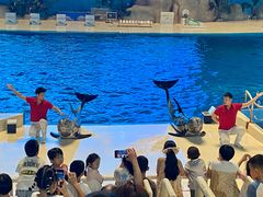 -泉城欧乐堡海洋极地世界