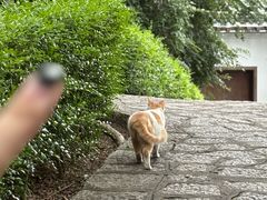 -鸿山公园